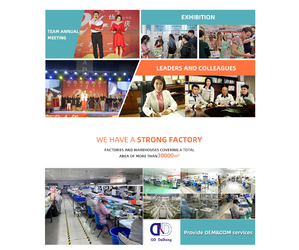 중국 Qingdao Dadong Electronics Co., Ltd.